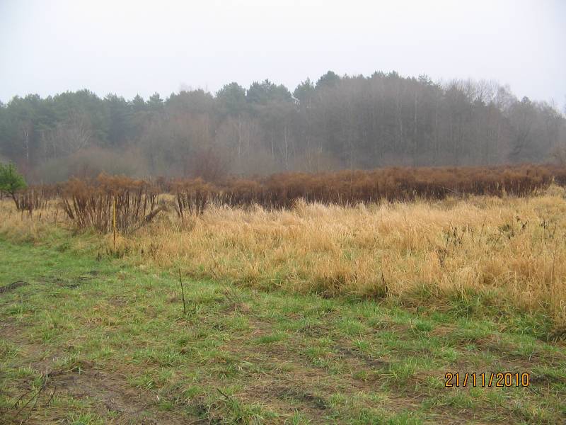 mojabudowa.pl - blog budowlany